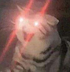 AM~MRJ8J~M3}SKA8U1Z77.png